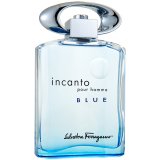 Заказать мужскую парфюмерию Incanto Pour Homme Blue 10674 Incanto Pour Homme Blue 10674 фото