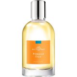 Заказать парфюмерию унисекс Pomelo Fizz 11174 Pomelo Fizz 11174 фото