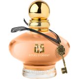 Заказать женскую парфюмерию Rituel D'Orient Secret IV Femme 20513 Rituel D'Orient Secret IV Femme 20513 фото