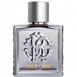 Заказать мужскую парфюмерию Roberto Cavalli Uomo Silver Essence 20723 Roberto Cavalli Uomo Silver Essence 20723 фото