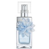 WildBloom Waterlily 20819 