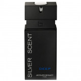 Заказать мужскую парфюмерию Silver Scent Deep 29332 Silver Scent Deep 29332 фото