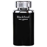 Заказать мужскую парфюмерию Black Soul 34618 Black Soul 34618 фото
