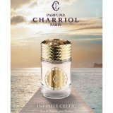 Заказать женскую парфюмерию Infinite Celtic For Women 35168 49383 Infinite Celtic For Women 35168 фото 49383
