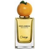 Fruit Collection Orange 35443 