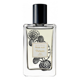 Rose Nuit 41861 