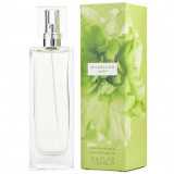 WildBloom Vert 3504 