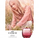 Заказать женскую парфюмерию Coach Wild Rose 44753 50553 Coach Wild Rose 44753 фото 50553