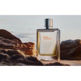 Заказать мужскую парфюмерию Terre d'Hermes Eau Givree 44772 50572 Terre d'Hermes Eau Givree 44772 фото 50572