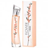 Flower Ikebana Mimosa 45627 ���� 51387